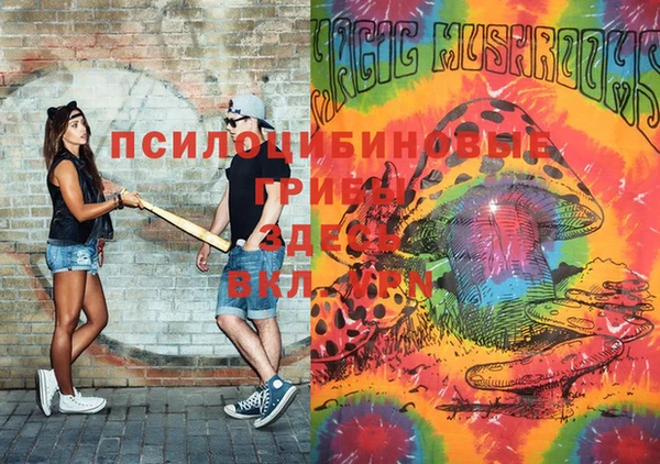 прущая мука Медногорск