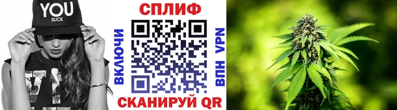 дарнет шоп Тырныауз МАРИХУАНА тримм
